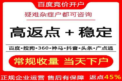 竞价广告赚钱秘籍：百度实战案例